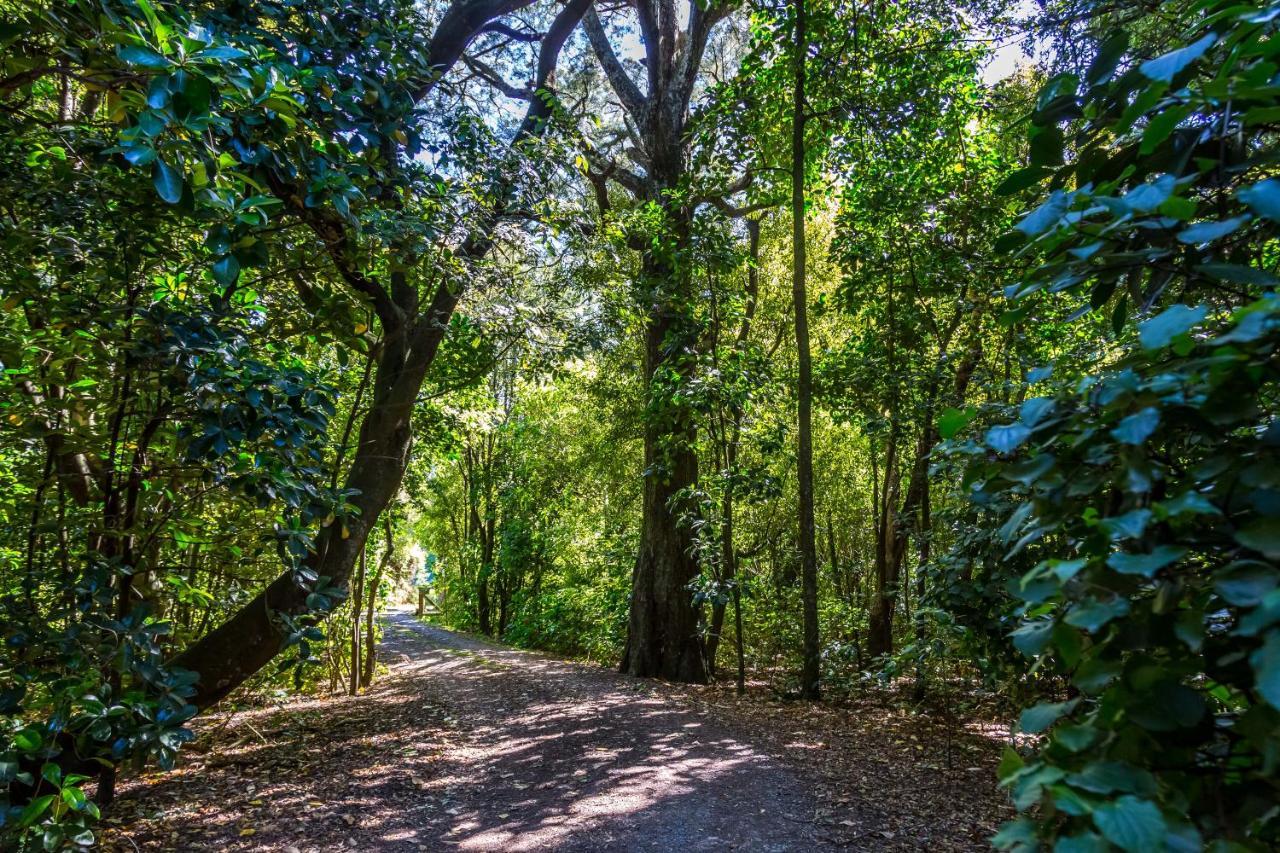 The Forest House Pirinoa Ngoại thất bức ảnh
